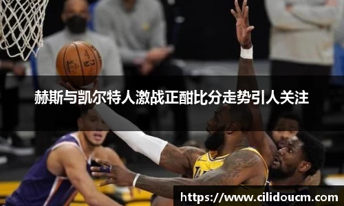 赫斯与凯尔特人激战正酣比分走势引人关注