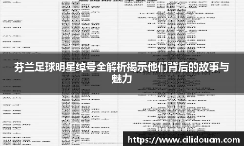 芬兰足球明星绰号全解析揭示他们背后的故事与魅力